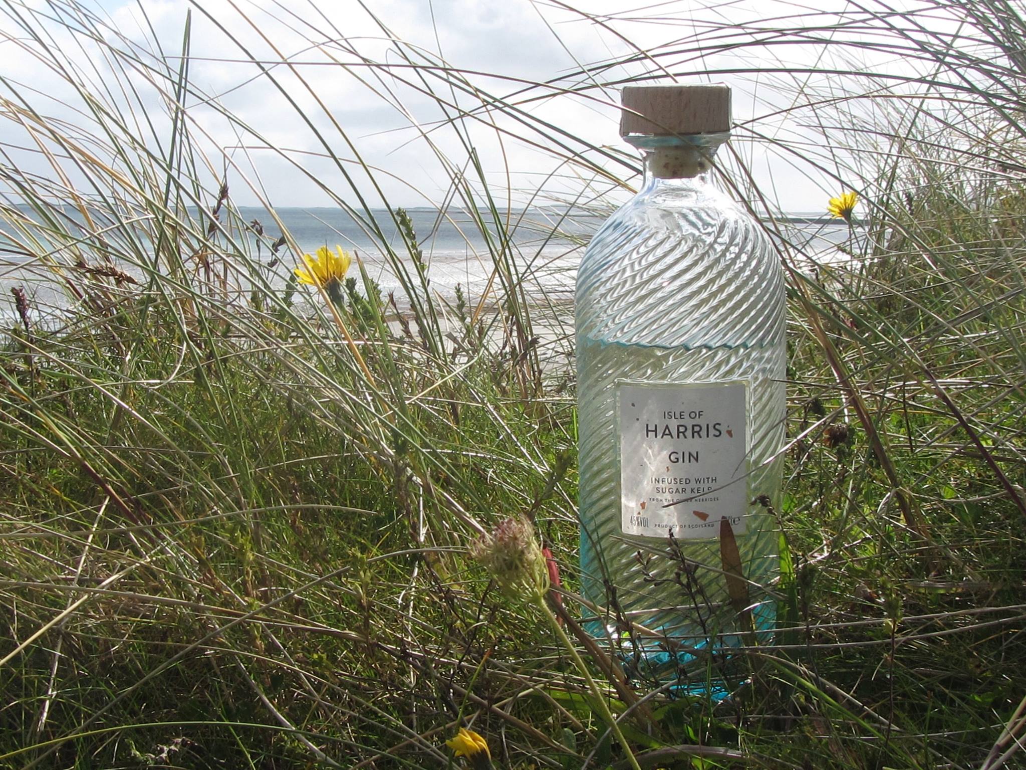 Taking you to the best gins, in the most beautiful locations Taking you to the best gins, in the most beautiful locations